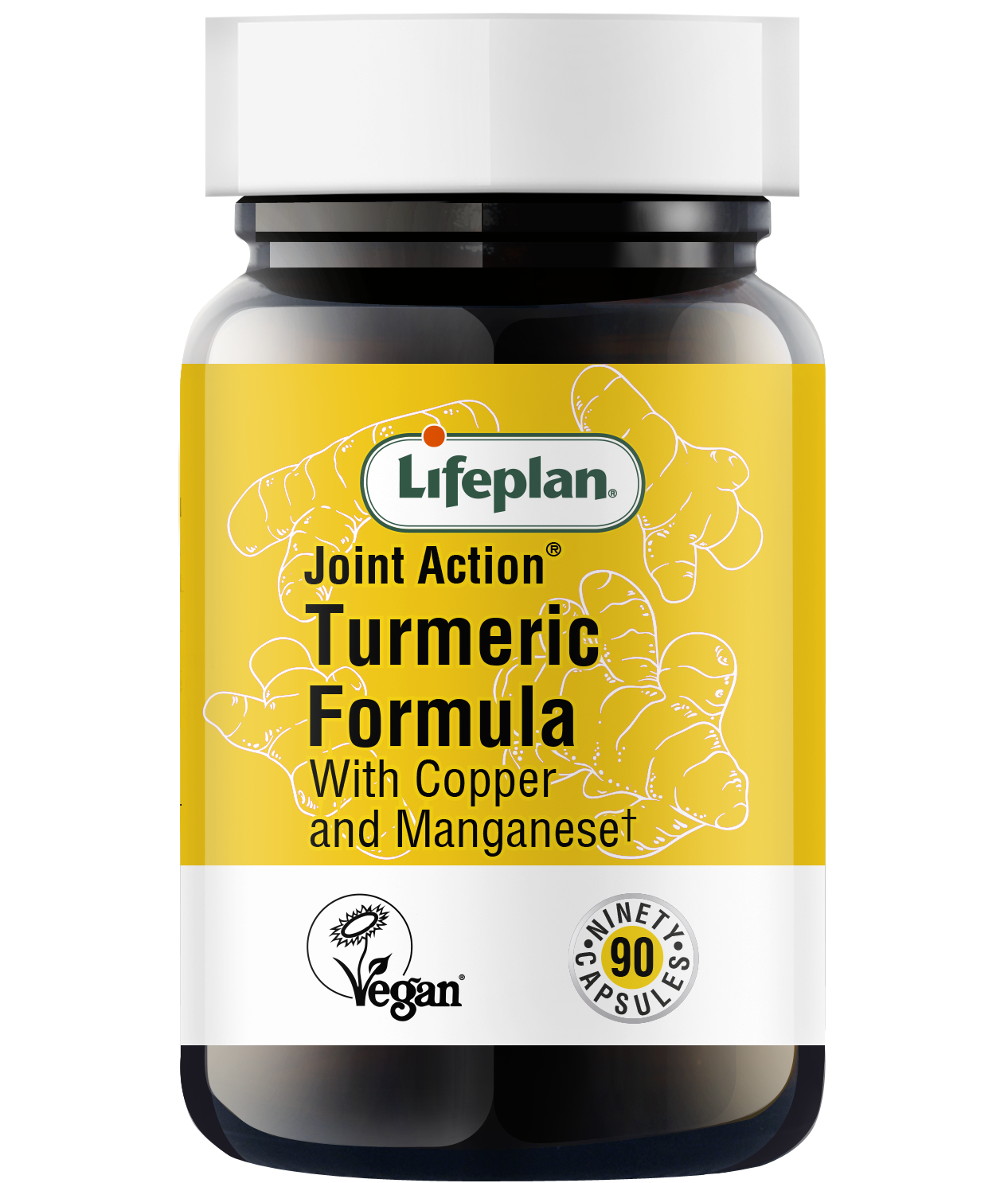 Lifeplan Turmeric Supplement Capsules